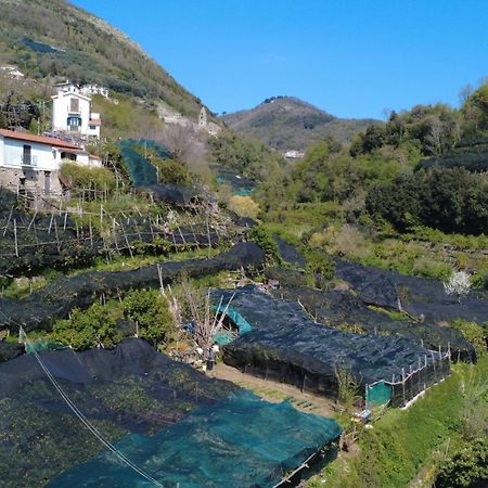 Antica Cartiera Sant'Elia Apartman Tramonti Kültér fotó