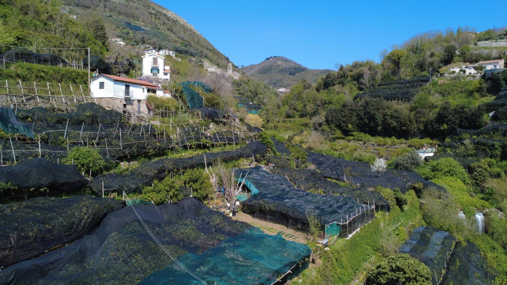 Antica Cartiera Sant'Elia Apartman Tramonti Kültér fotó