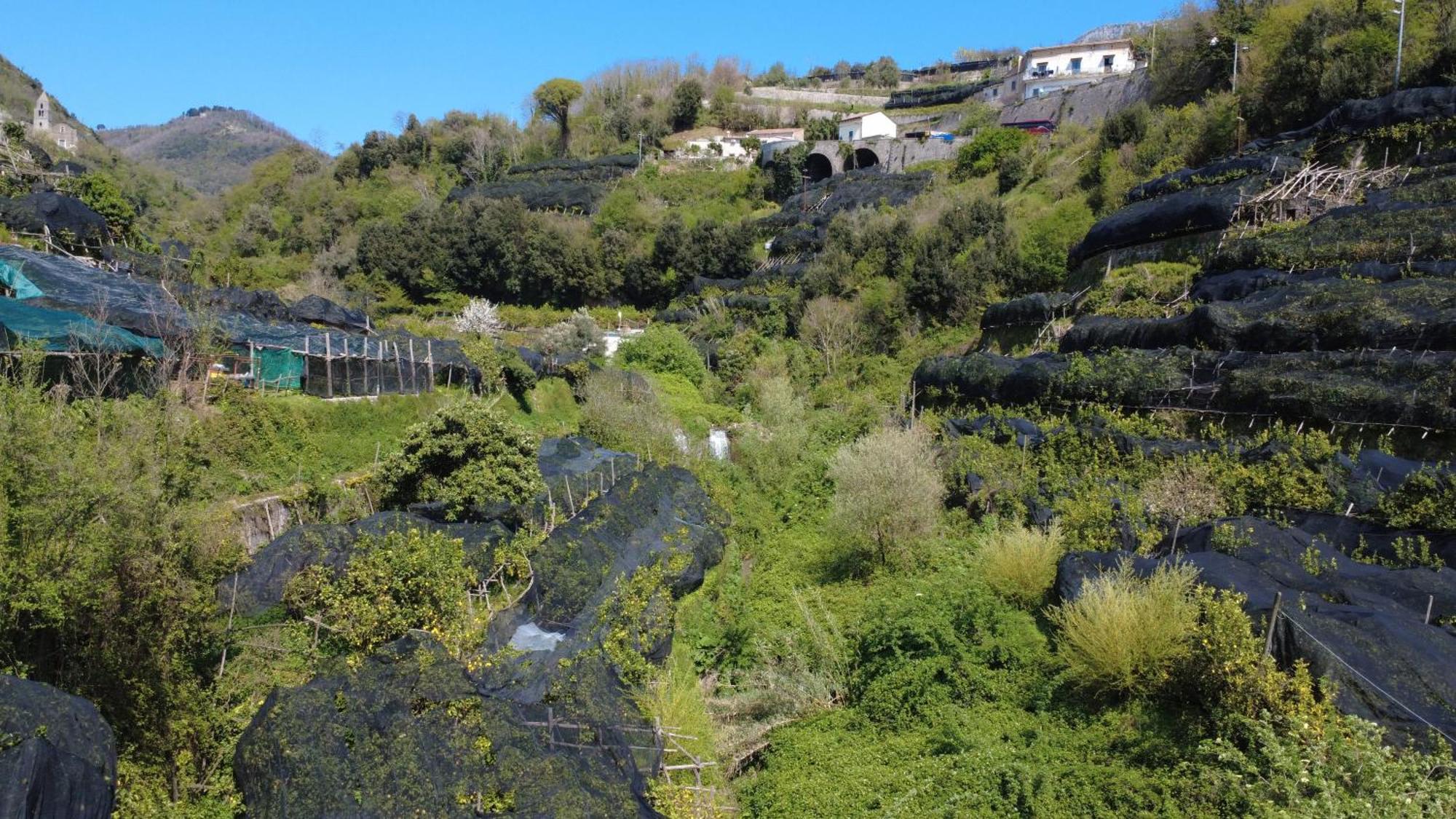 Antica Cartiera Sant'Elia Apartman Tramonti Kültér fotó